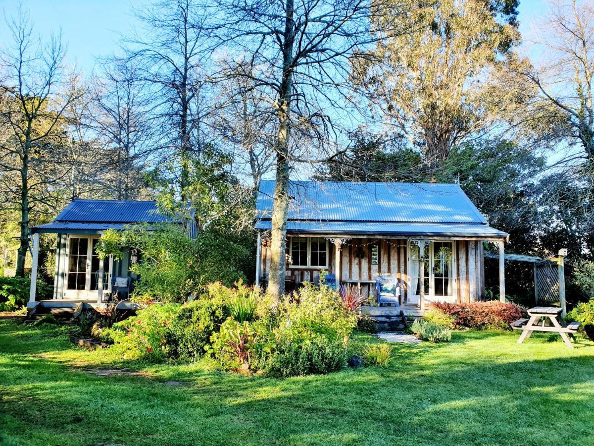Bumblebee Cottage Greytown Exterior foto